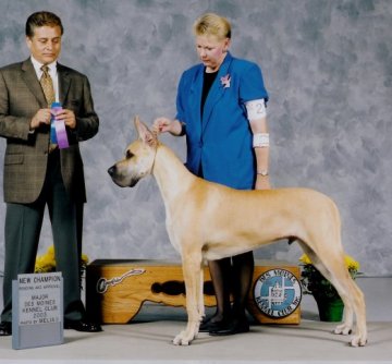 Chandler at 7 1/2 months