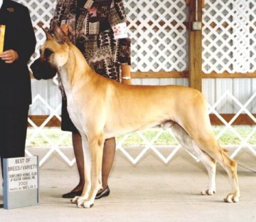 Best of Breed in Gardner