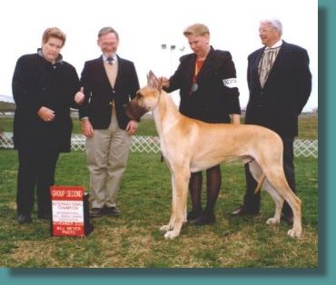 An International Ch. at 20 months