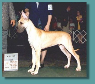 Raymond winning a major