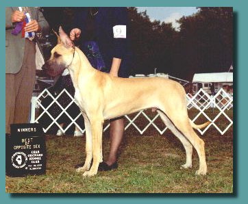 Raymond winning WD/BOW at 7 months old