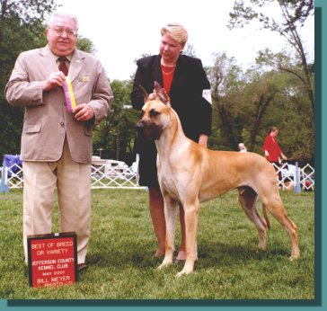 Best of Breed in Gray Summit