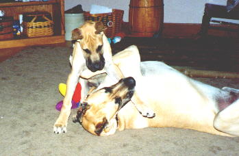 Norman talking to Cash