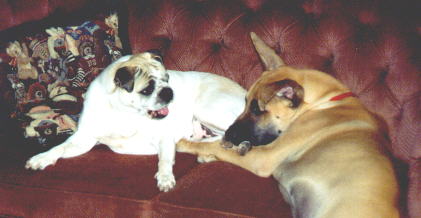 Please Thelma Lou, just one little toe nibble?