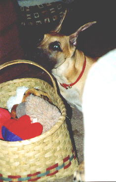 I have the Best Basket Full of Toys!