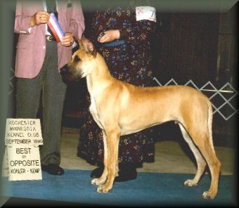Winners Dog at 6 months